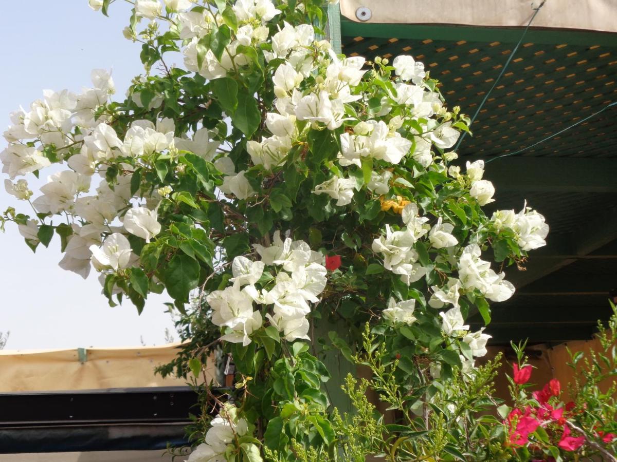 فندق رياض سيسيمي مراكش المظهر الخارجي الصورة